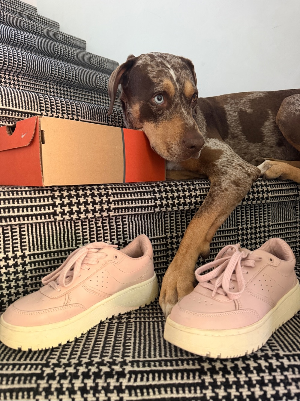 Kids or women’s  Pink Platform Sneakers - Zara